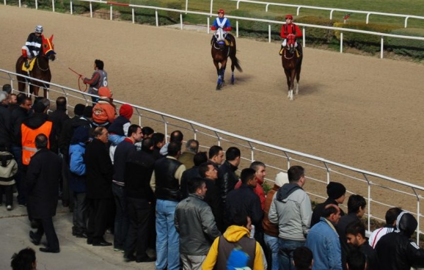 Horse Racing in Izmir