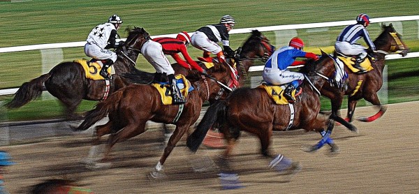 Izmir Horse Racing